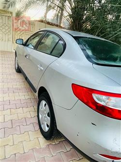 رينو فلوينس